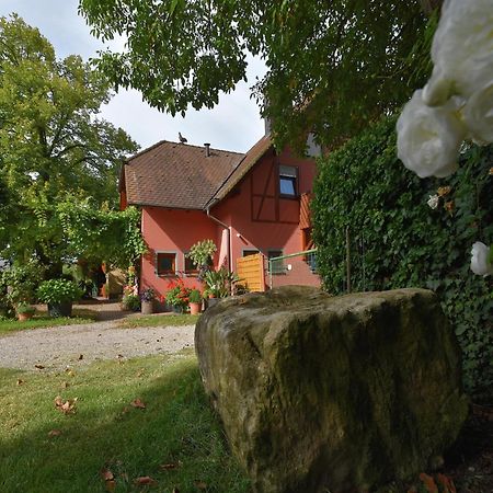 Countryside Apartment With Garden Schallstadt Kültér fotó