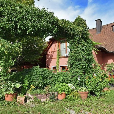 Countryside Apartment With Garden Schallstadt Kültér fotó