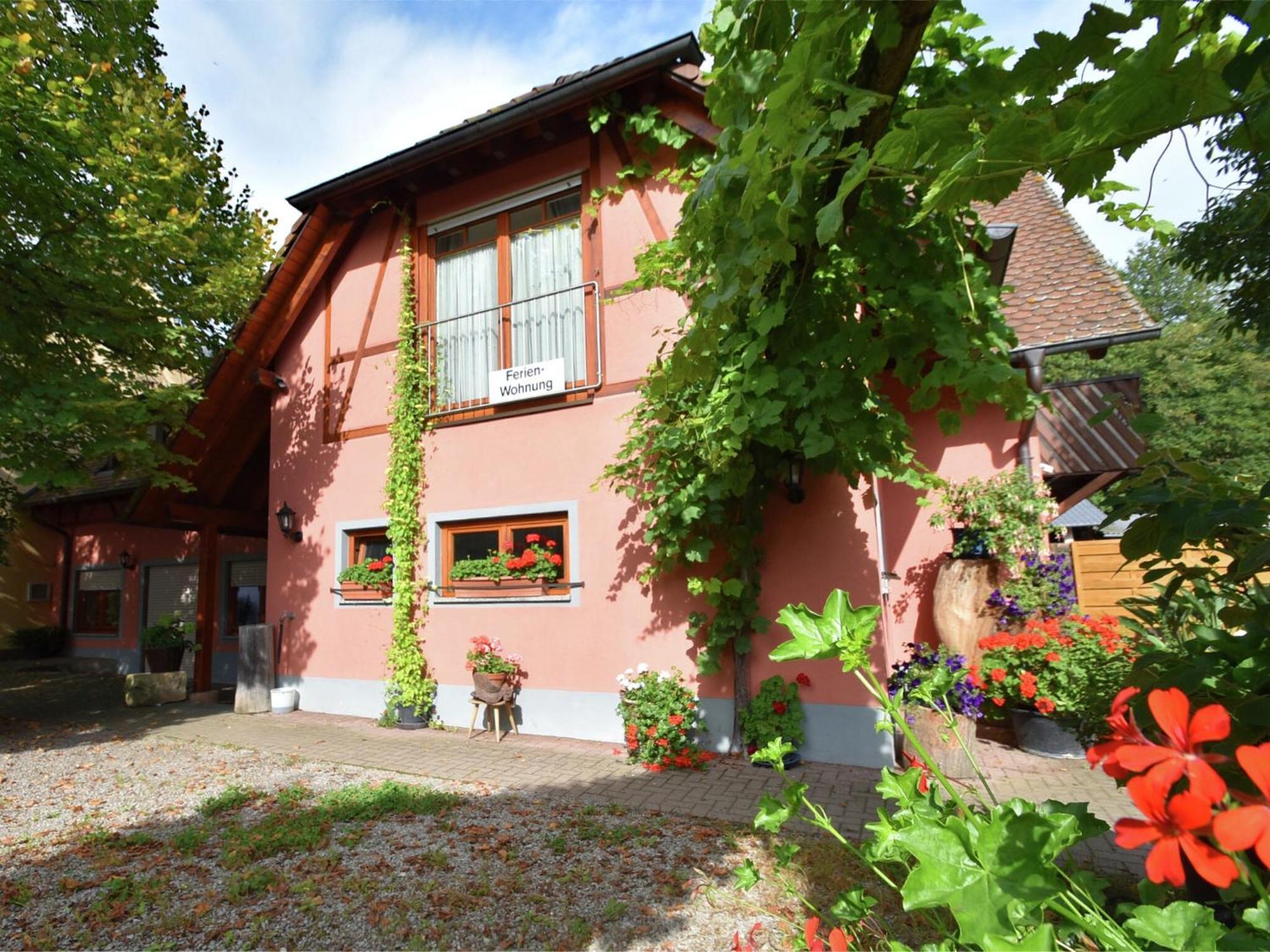 Countryside Apartment With Garden Schallstadt Kültér fotó