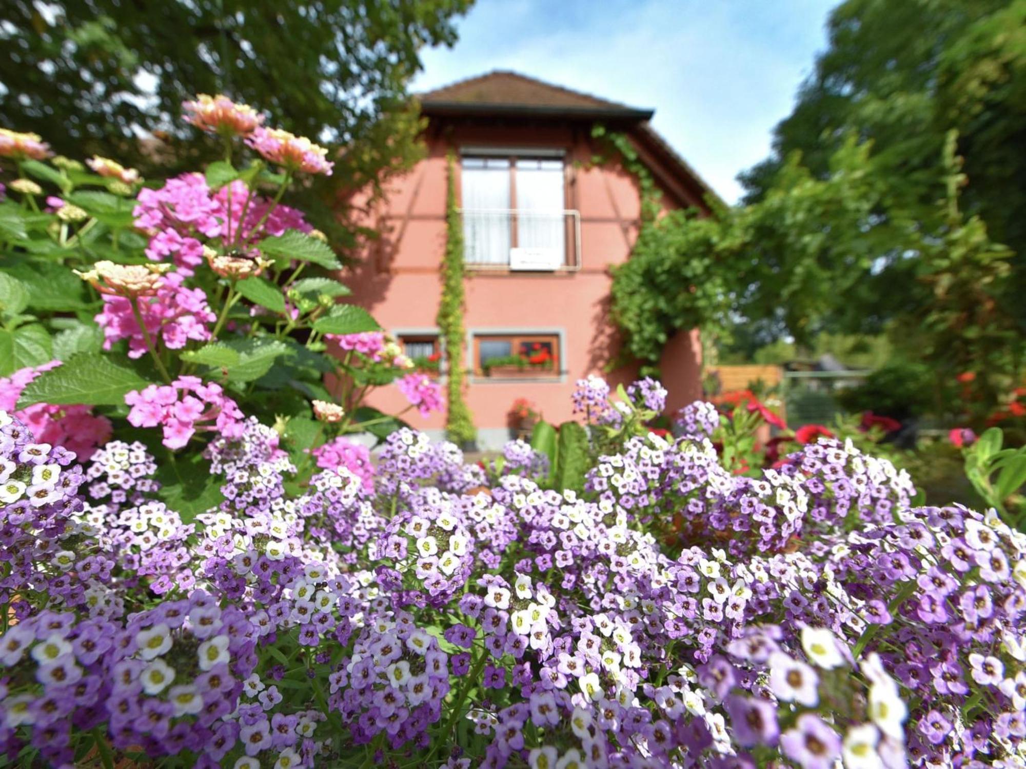 Countryside Apartment With Garden Schallstadt Kültér fotó
