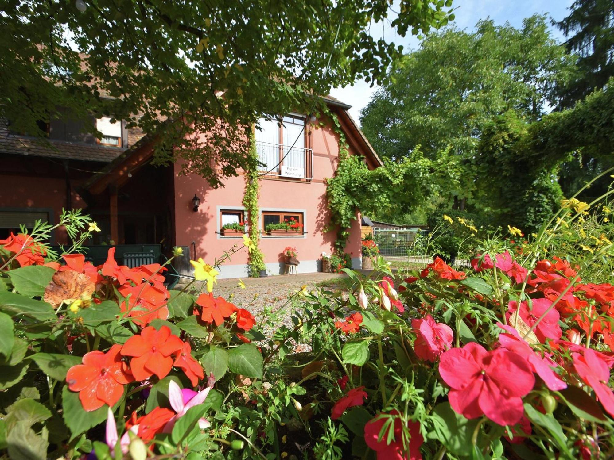 Countryside Apartment With Garden Schallstadt Kültér fotó