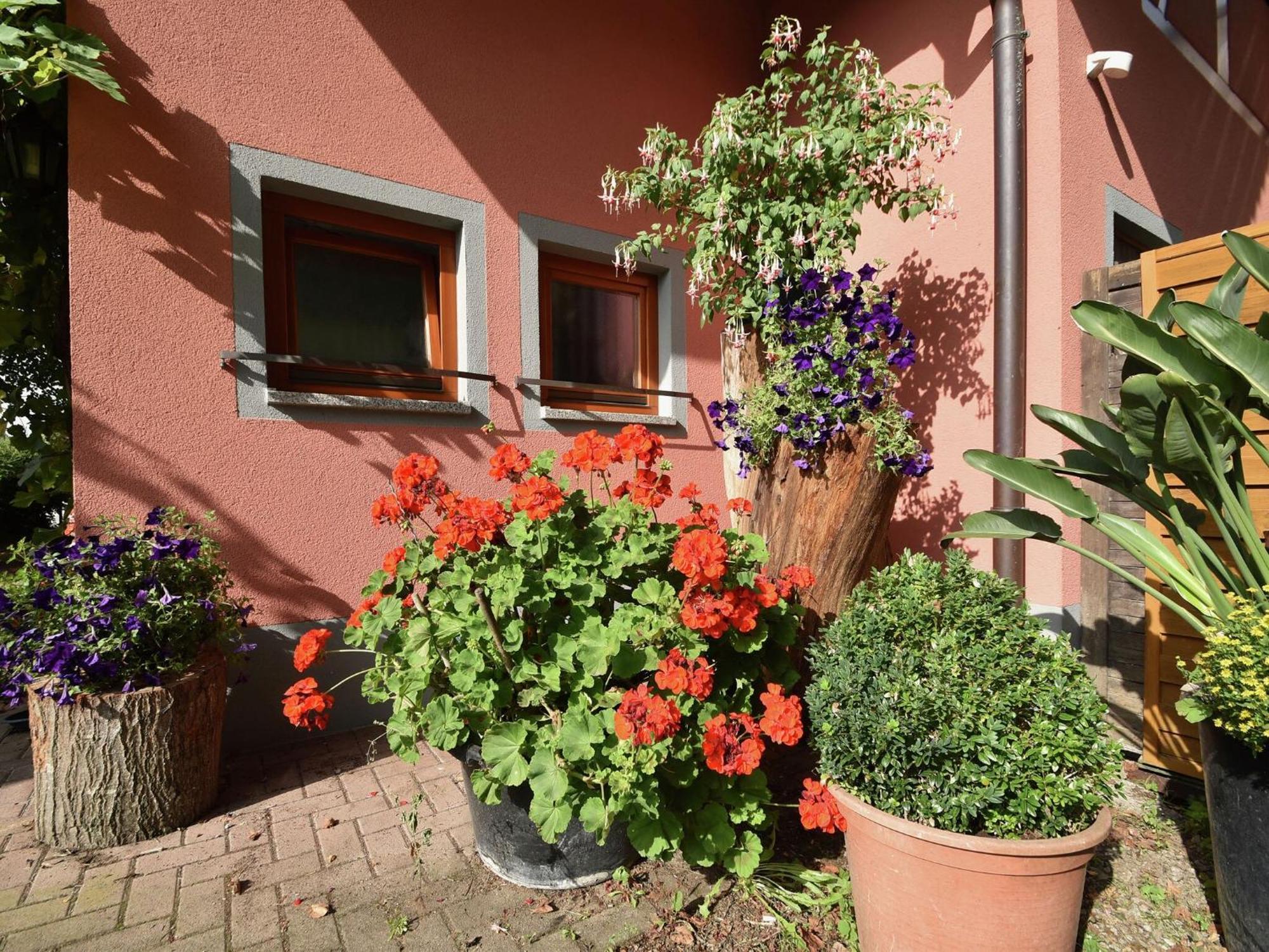 Countryside Apartment With Garden Schallstadt Kültér fotó