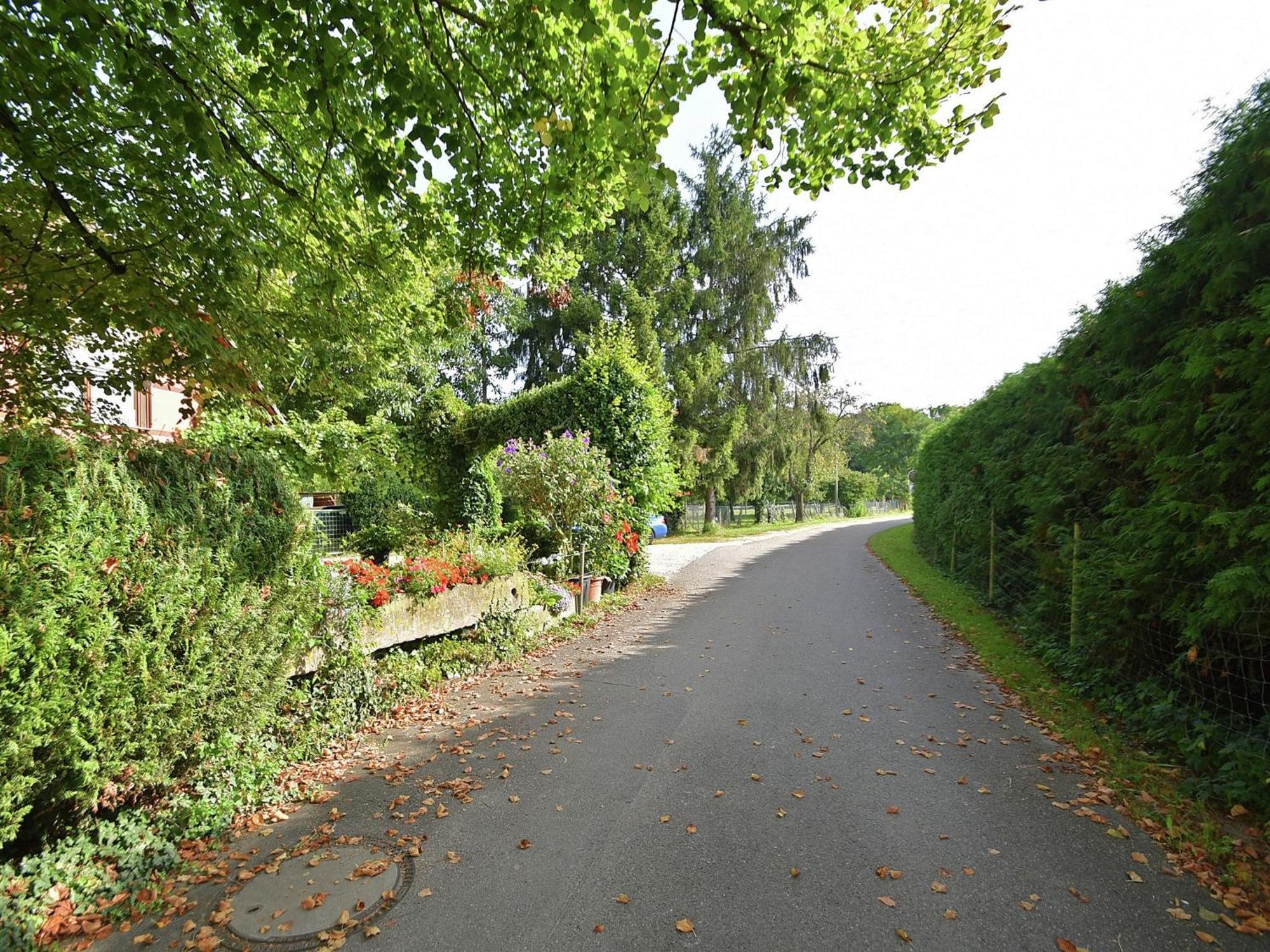 Countryside Apartment With Garden Schallstadt Kültér fotó