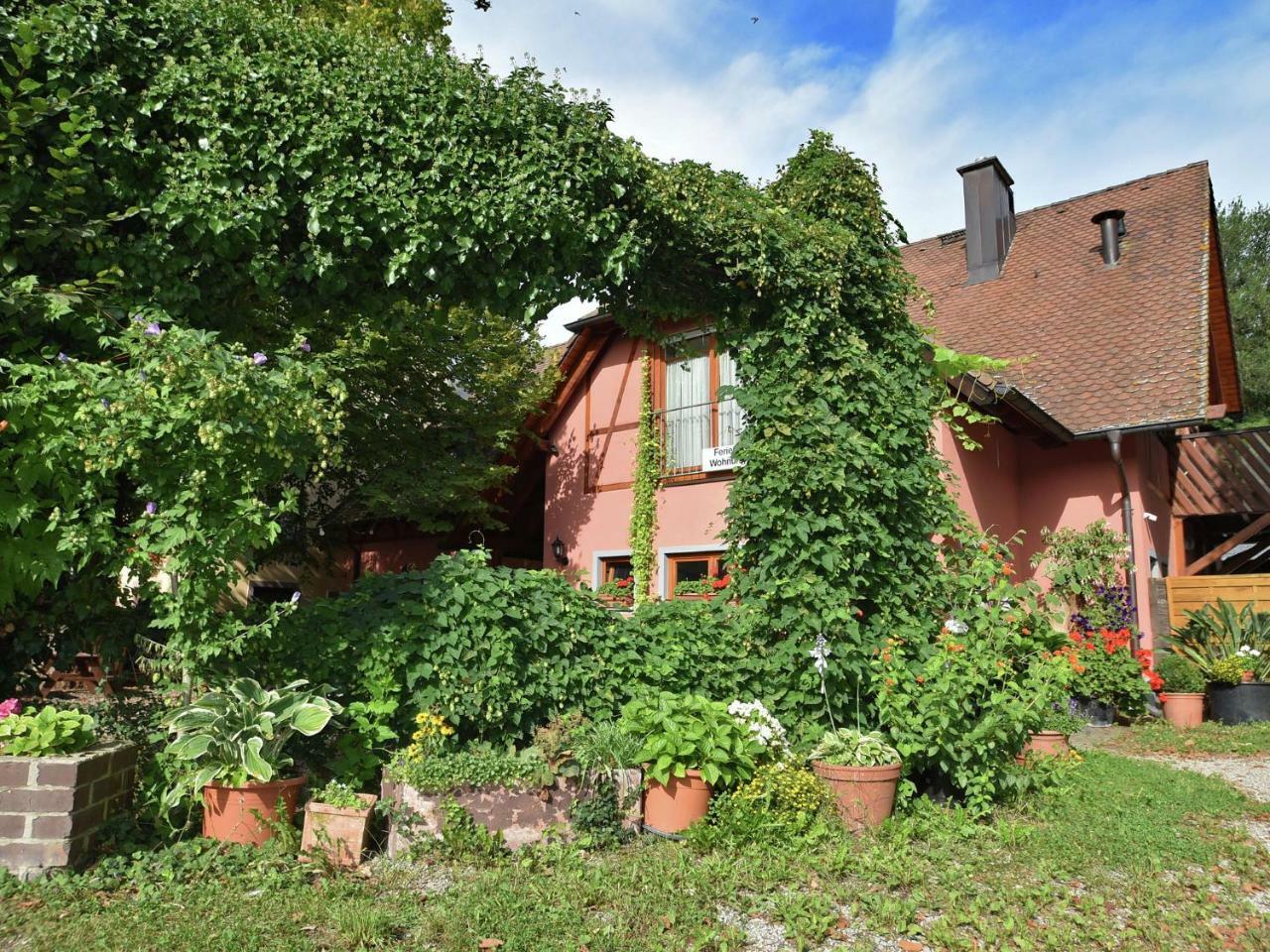 Countryside Apartment With Garden Schallstadt Kültér fotó